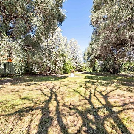 Charming Period Home - Walk To Cbd, Pet Friendly ダボ エクステリア 写真